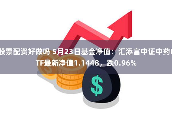 股票配资好做吗 5月23日基金净值：汇添富中证中药ETF最新净值1.1448，跌0.96%