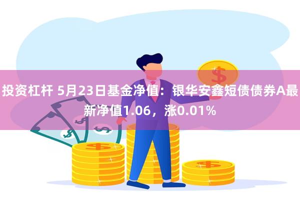 投资杠杆 5月23日基金净值：银华安鑫短债债券A最新净值1.06，涨0.01%