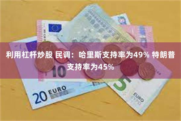 利用杠杆炒股 民调：哈里斯支持率为49% 特朗普支持率为45%