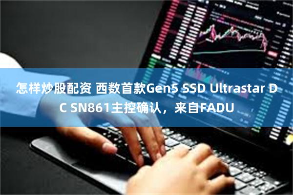 怎样炒股配资 西数首款Gen5 SSD Ultrastar DC SN861主控确认，来自FADU