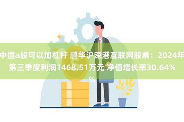 中国a股可以加杠杆 鹏华沪深港互联网股票：2024年第三季度利润1468.51万元 净值增长率30.64%