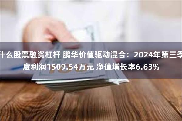 什么股票融资杠杆 鹏华价值驱动混合：2024年第三季度利润1509.54万元 净值增长率6.63%