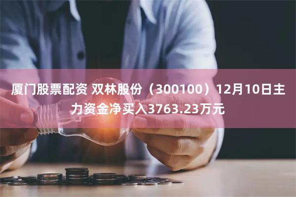 厦门股票配资 双林股份（300100）12月10日主力资金净买入3763.23万元