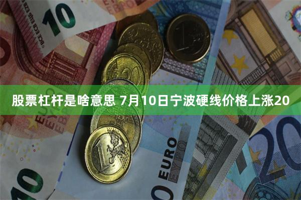 股票杠杆是啥意思 7月10日宁波硬线价格上涨20