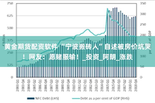黄金期货配资软件 “宁波搬砖人”自述被房价坑哭！网友：愿赌服输！_投资_阿朗_涨跌