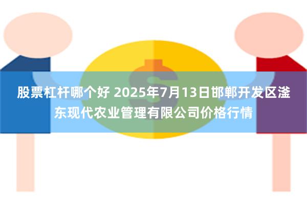 股票杠杆哪个好 2025年7月13日邯郸开发区滏东现代农业管理有限公司价格行情